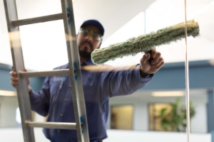 Al's Window Cleaning Services | Window Cleaner