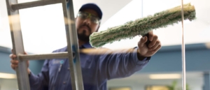 Al's Window Cleaning Services | Window Cleaner